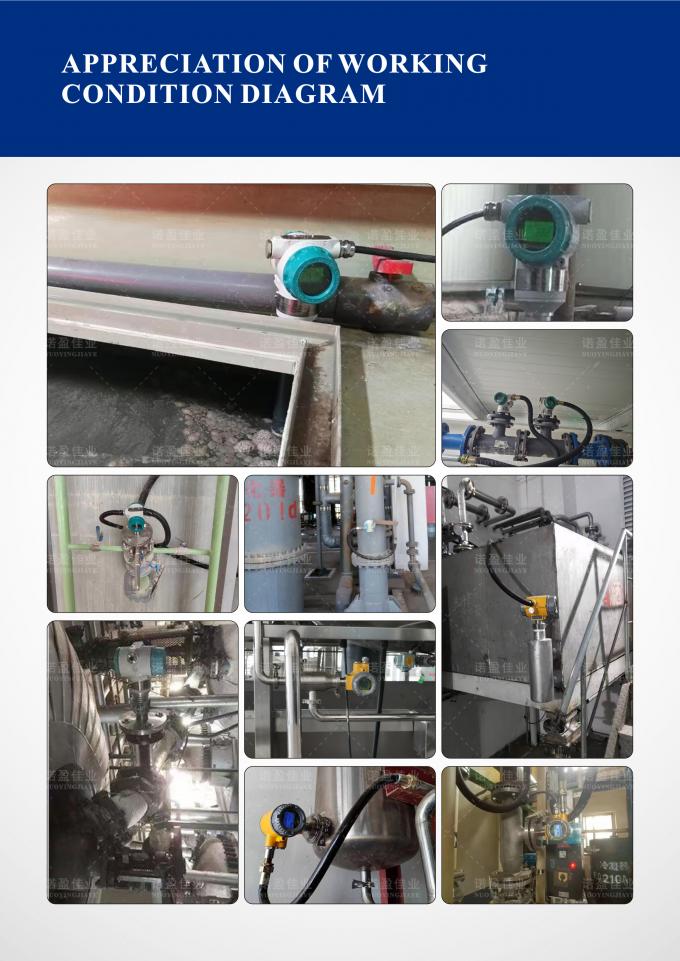 Dichtheidsmeter -type sonde voor nauwkeurige metingen 1