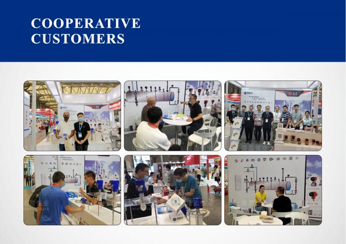 Explosiebestendige temperatuurtransmitter slimme industriële sensor voor brandstof 8